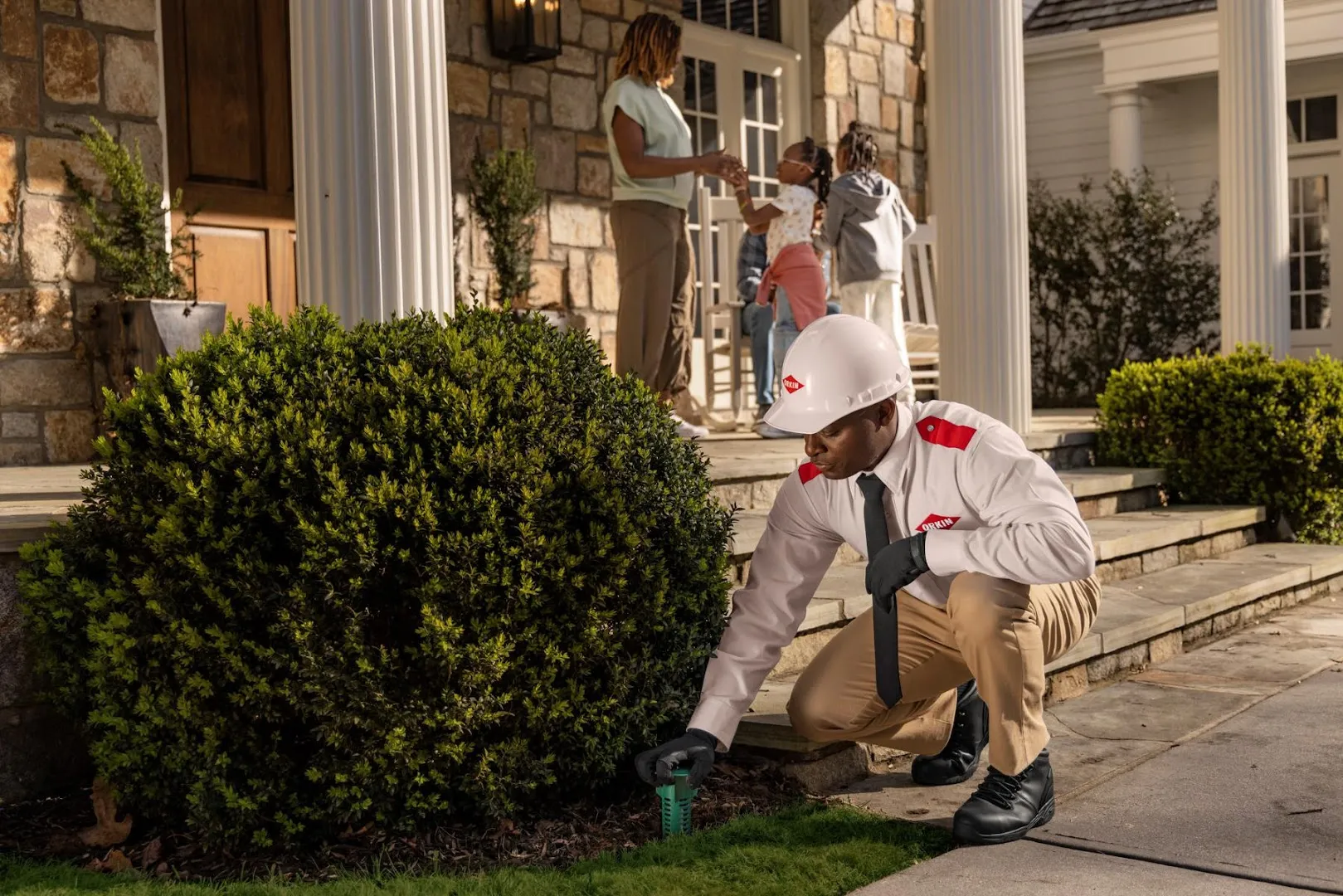 Orkin in Dallas, TX — business photo 6