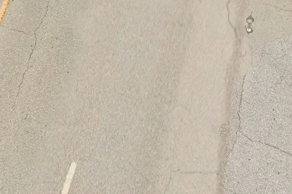 Dallas Precision Pest Control — pest control in Dallas, DALLAS County, TX