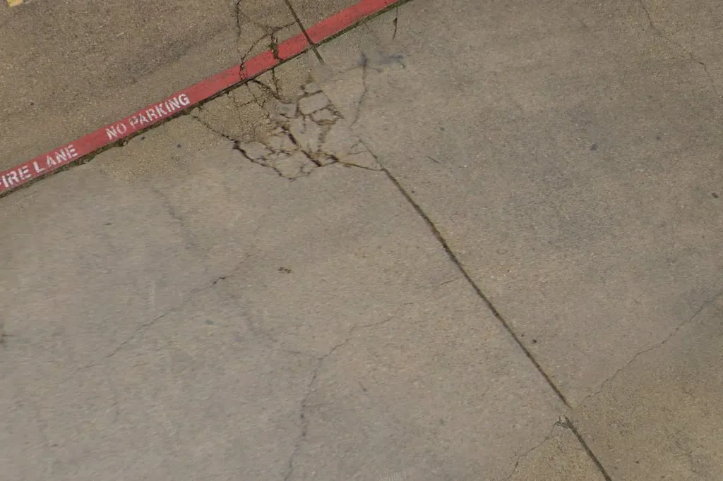 The Pest Boys in Fort Worth, TX — business photo 3