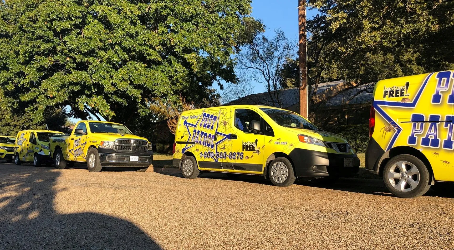 Pest Patrol in Abilene, TX — business photo 3