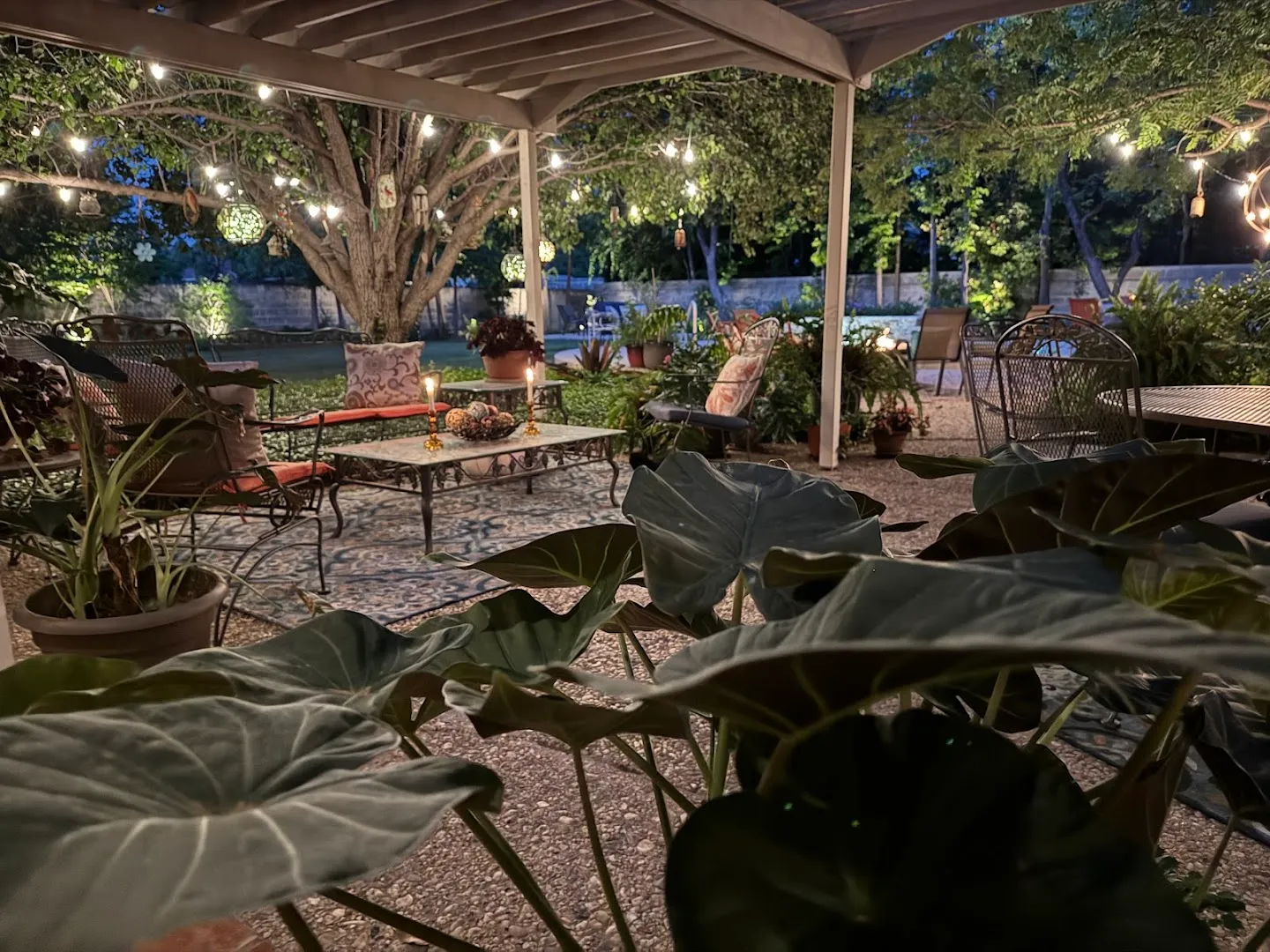 Pest Patrol in Abilene, TX — business photo 4