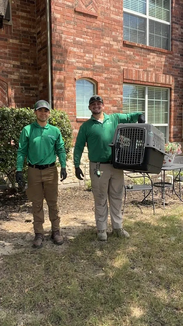 Safe Pro Pest Control in McKinney, TX — business photo 5