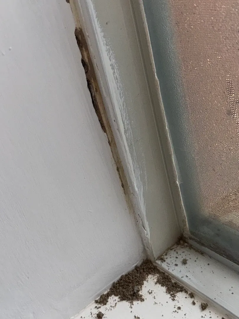 Pestop in Houston, TX — business photo 4