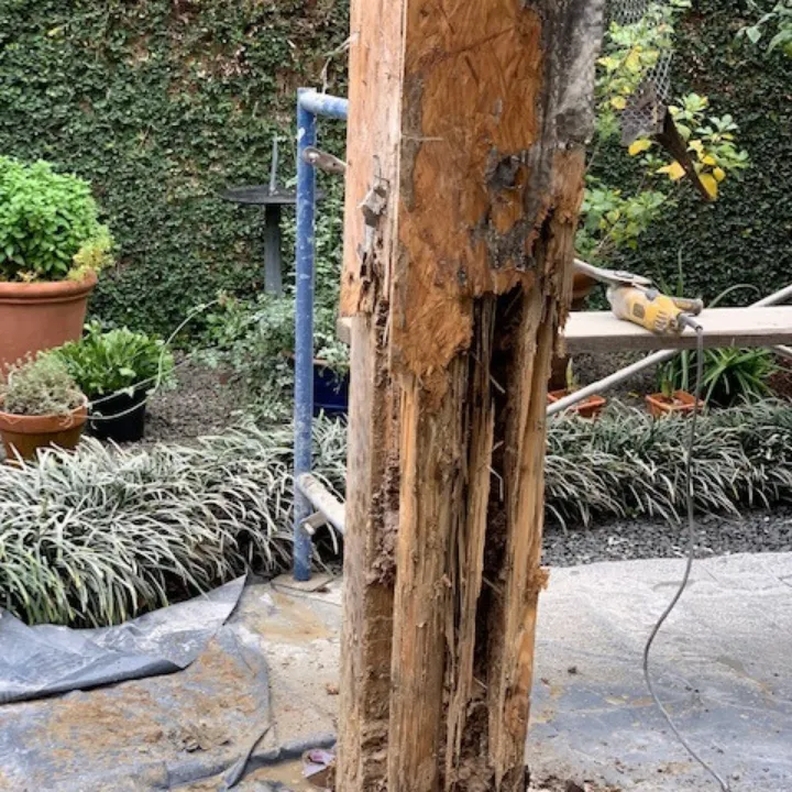 Pestop in Houston, TX — business photo 5