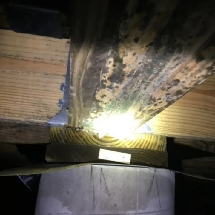 Pestop in Houston, TX — business photo 6