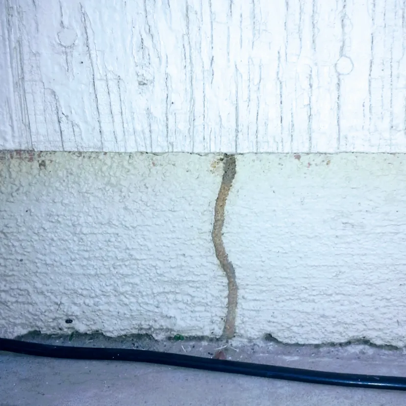 Pestpro of San Antonio, LLC. in San Antonio, TX — business photo 3
