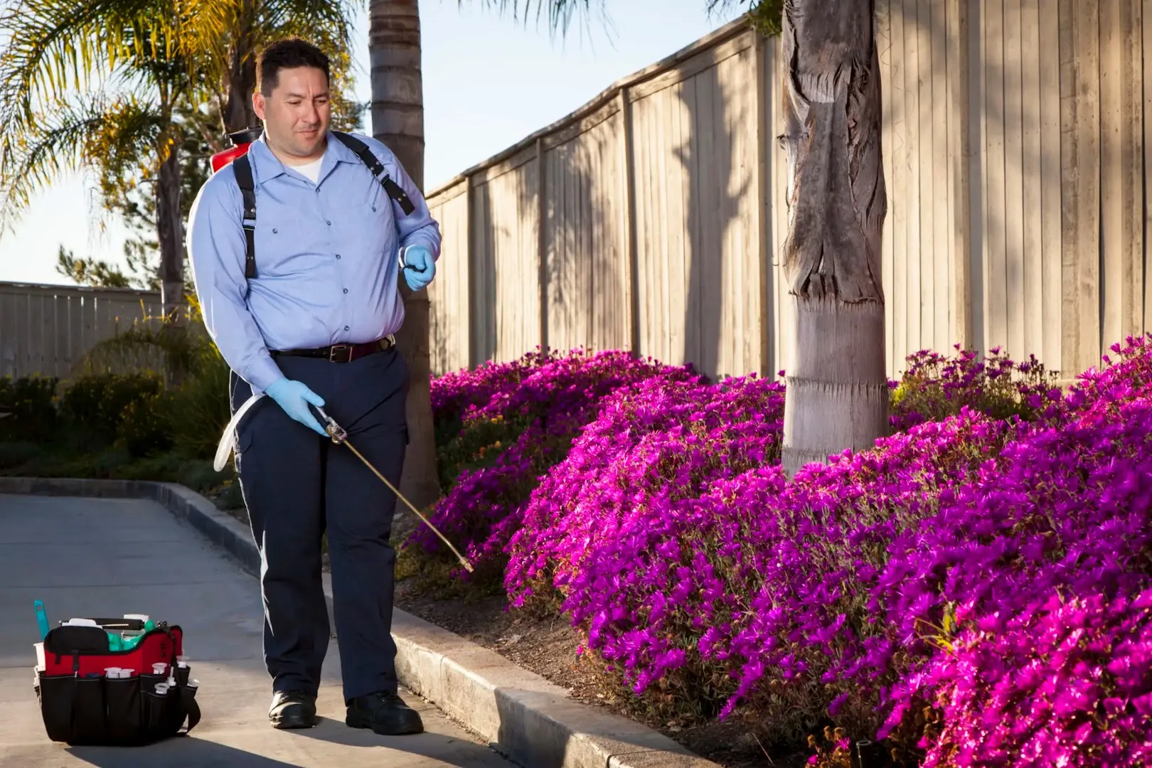 Phoenix Pest Solutions, LLC in Houston, TX — business photo 5