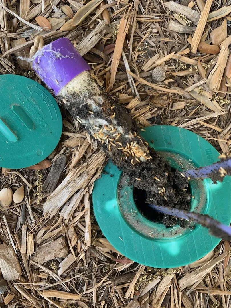 All-Rid Pest & Termite Inc. in Decatur, TX — business photo 5