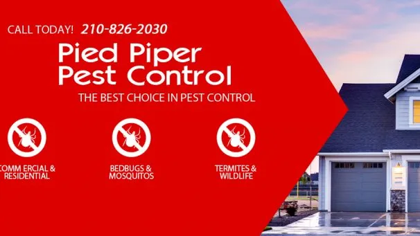 Pied Piper Pest Control in San Antonio, TX — business photo 4