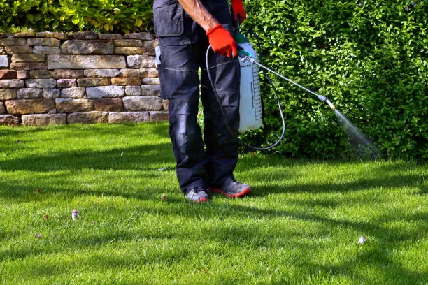 San Angelo Pest Control Co in San Angelo, TX — business photo 3