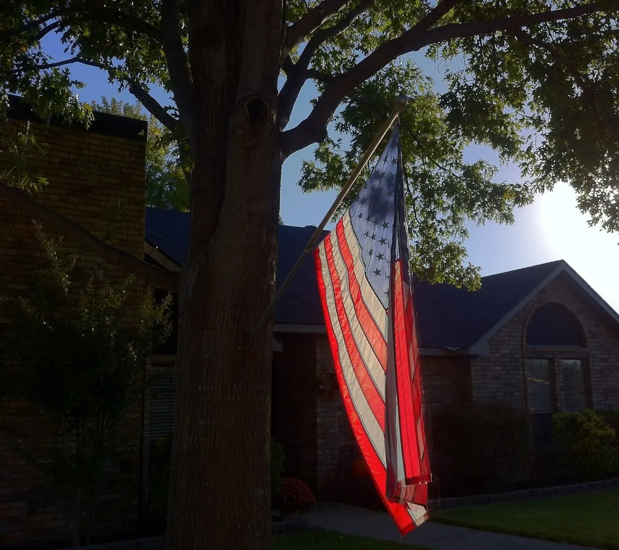 Plano Exterminators Inc — pest control in McKinney, COLLIN County, TX