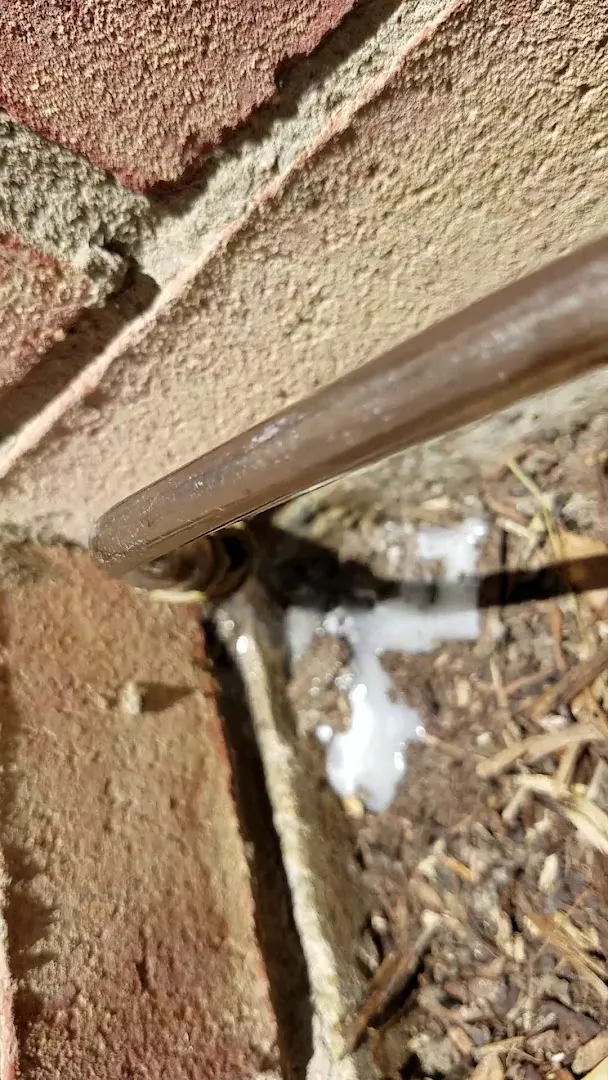 Plano Exterminators Inc in McKinney, TX — business photo 4