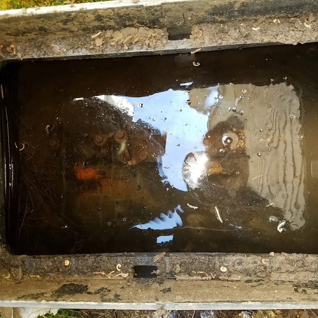 Plano Home Inspection Inc in McKinney, TX — business photo 4