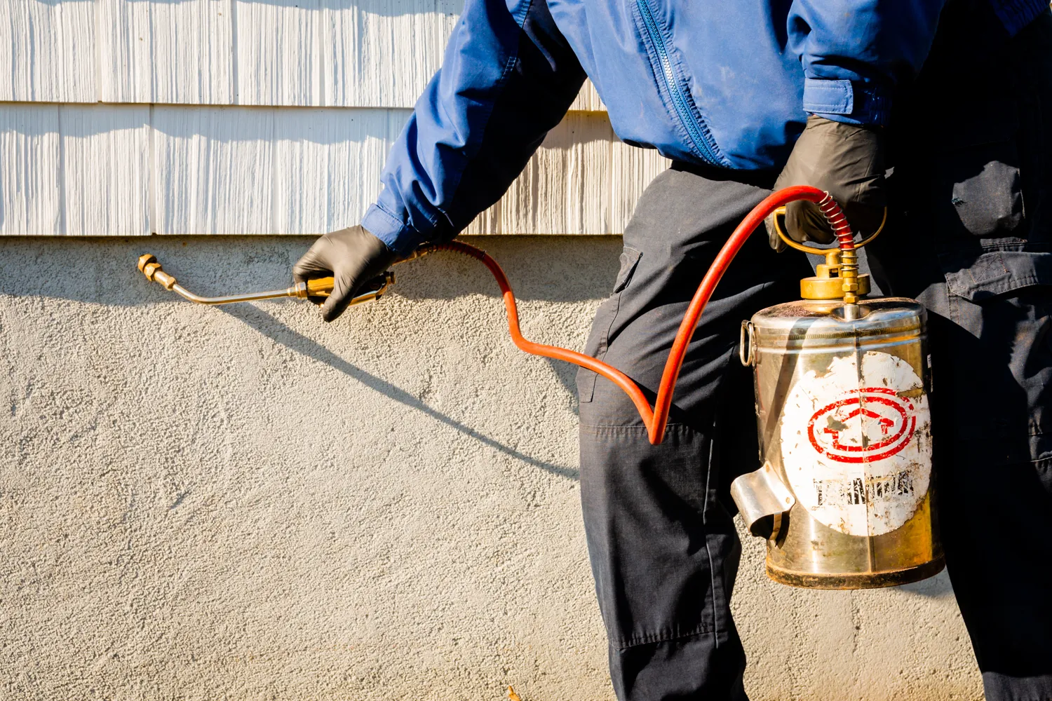 Plano Pest Control Inc in McKinney, TX — business photo 2