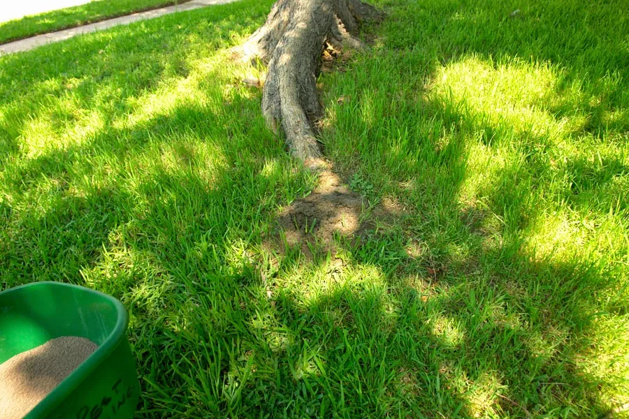 Plano Pest Control Inc in McKinney, TX — business photo 5