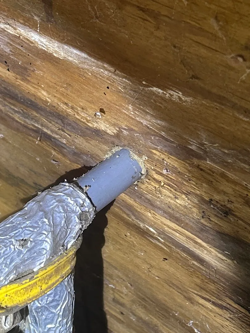 Porters Pest Control LLC in Tyler, TX — business photo 4