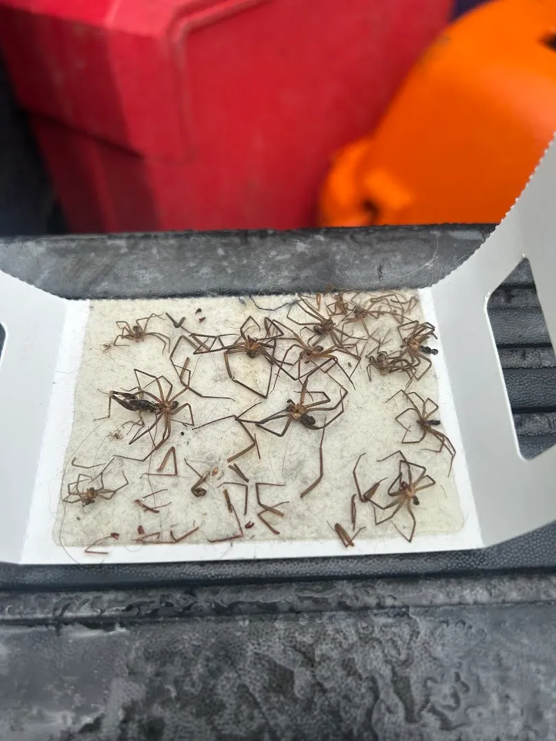 Porters Pest Control LLC in Tyler, TX — business photo 5