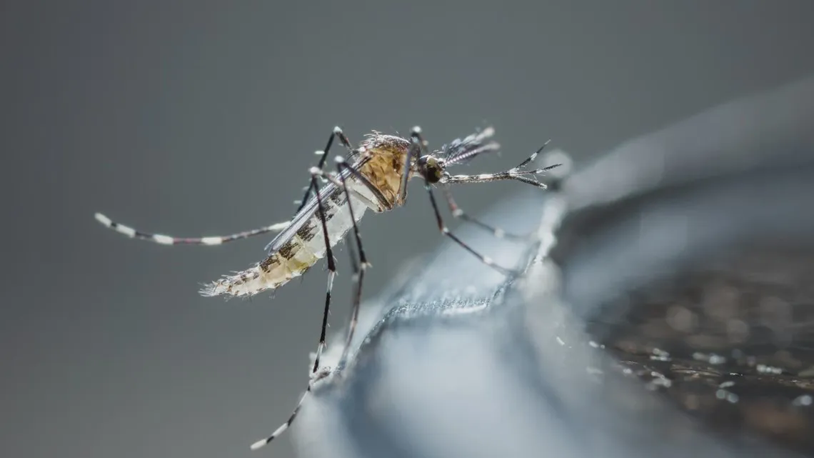 Preferred Pest Control Inc in Richmond, TX — business photo 5