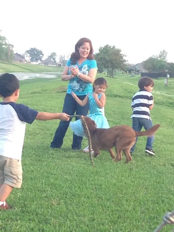 Preferred Pest Control Inc in Richmond, TX — business photo 6