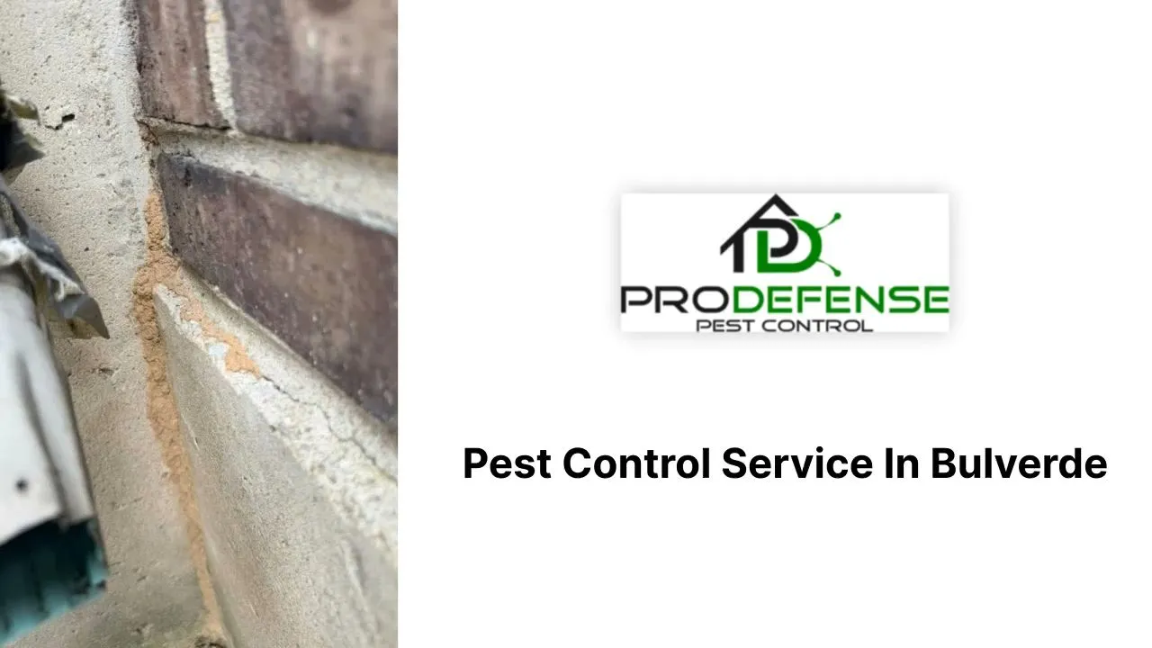 Pro Defense Pest Control in San Antonio, TX — business photo 3