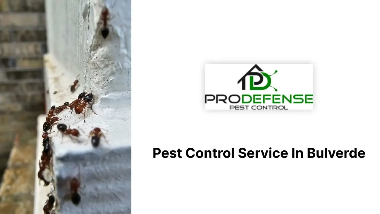 Pro Defense Pest Control in San Antonio, TX — business photo 4