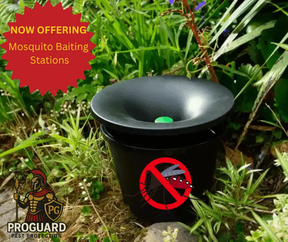 ProGuard Pest Protection in Fort Worth, TX — business photo 3