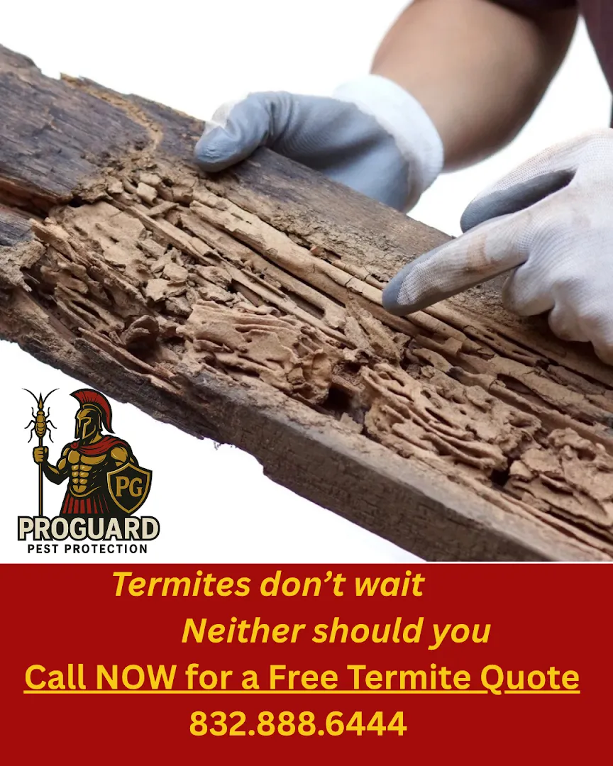 ProGuard Pest Protection in Fort Worth, TX — business photo 4