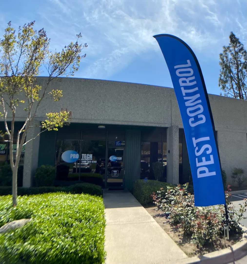 Pro Tech Pest Elimination Inc. — pest control in Edinburg, HIDALGO County, TX