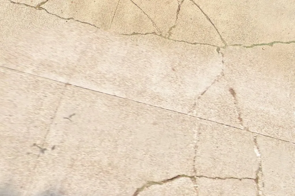 Professional Pest Control — pest control in Bryan, BRAZOS County, TX