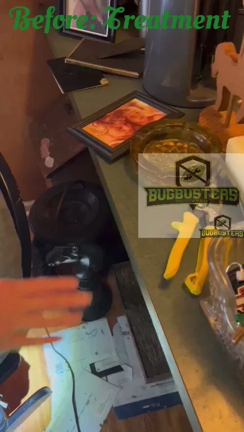 BugBusterz Pest Control LLC — pest control in Richmond, FORT BEND County, TX