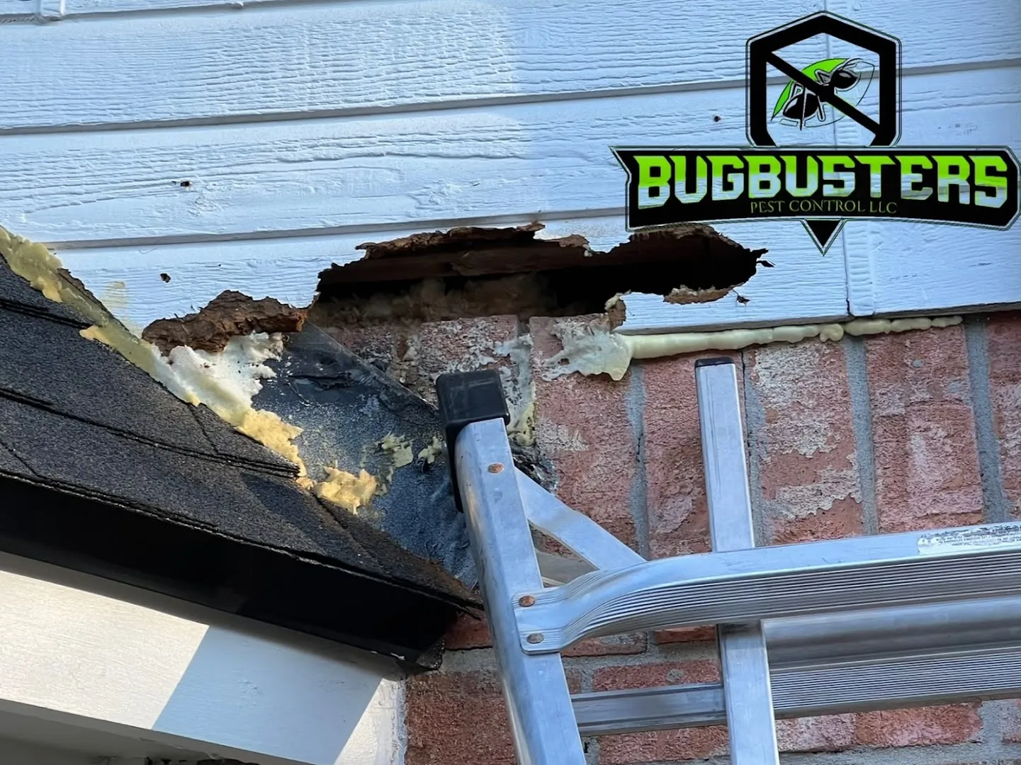 BugBusterz Pest Control LLC in Richmond, TX — business photo 5