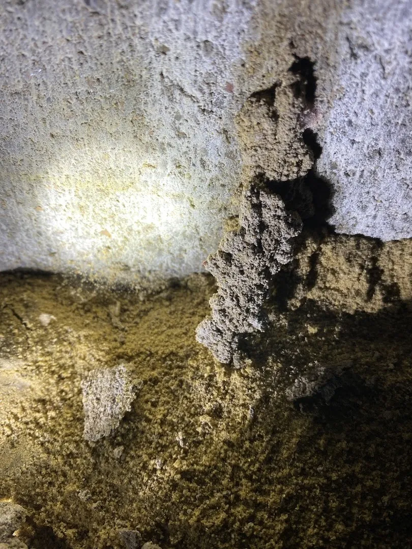 Quality Pest Control in Liberty, TX — business photo 2