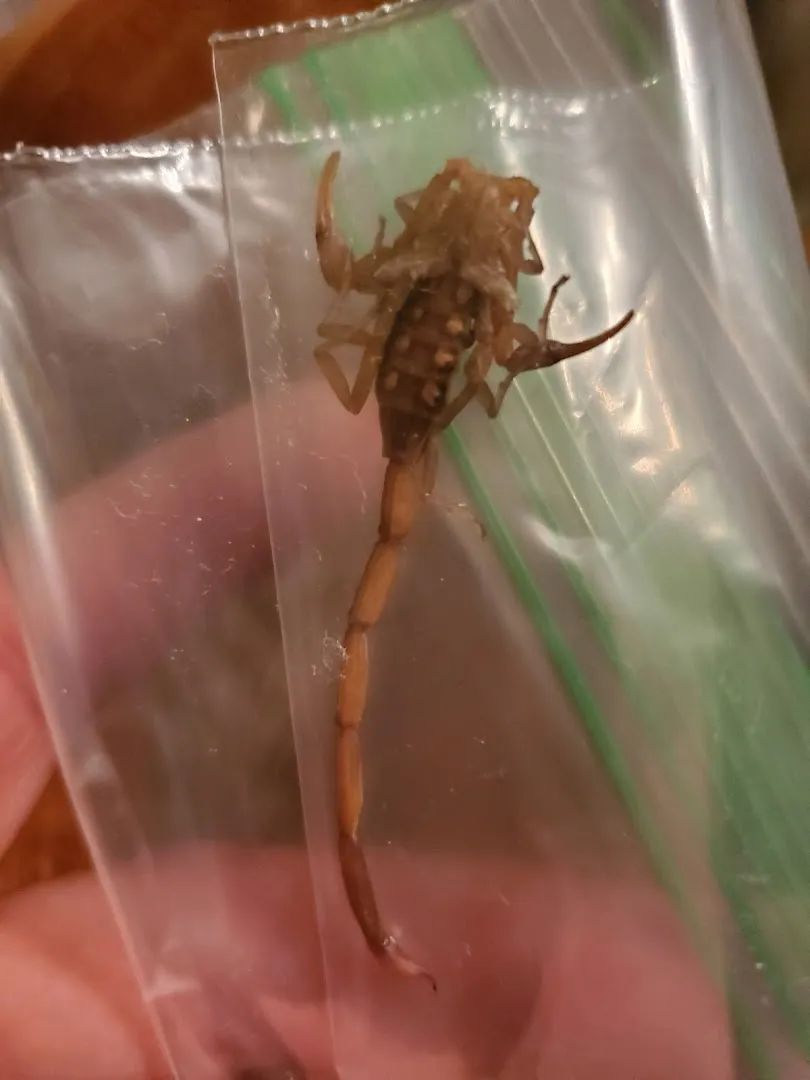 Quality Pest Control in Liberty, TX — business photo 3