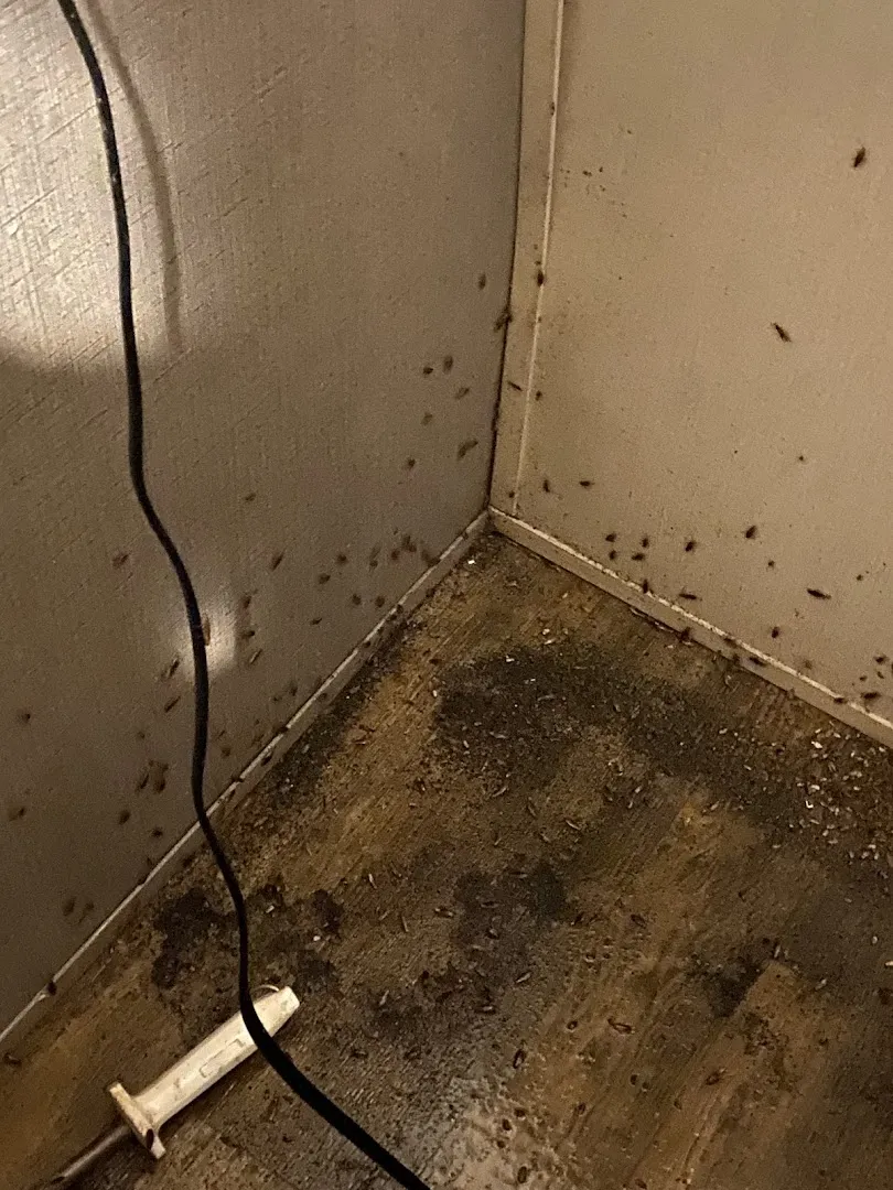 Quality Pest Control in Liberty, TX — business photo 4