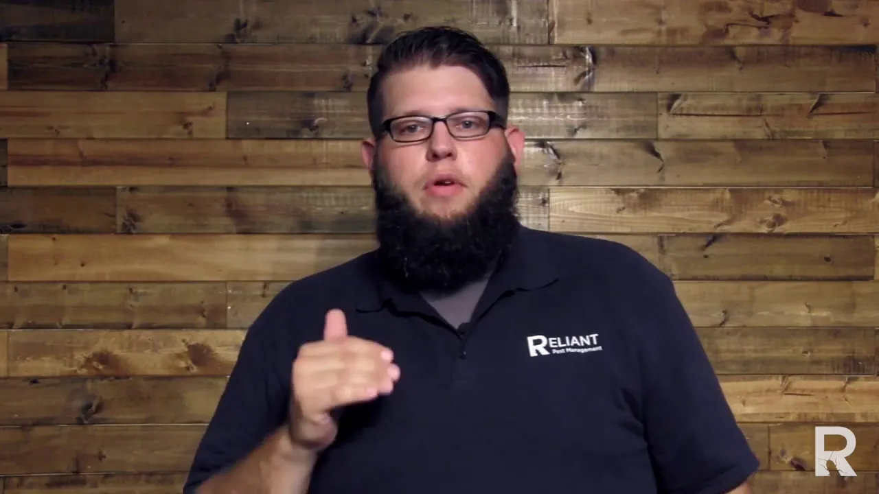 Reliant Pest Management in Houston, TX — business photo 3