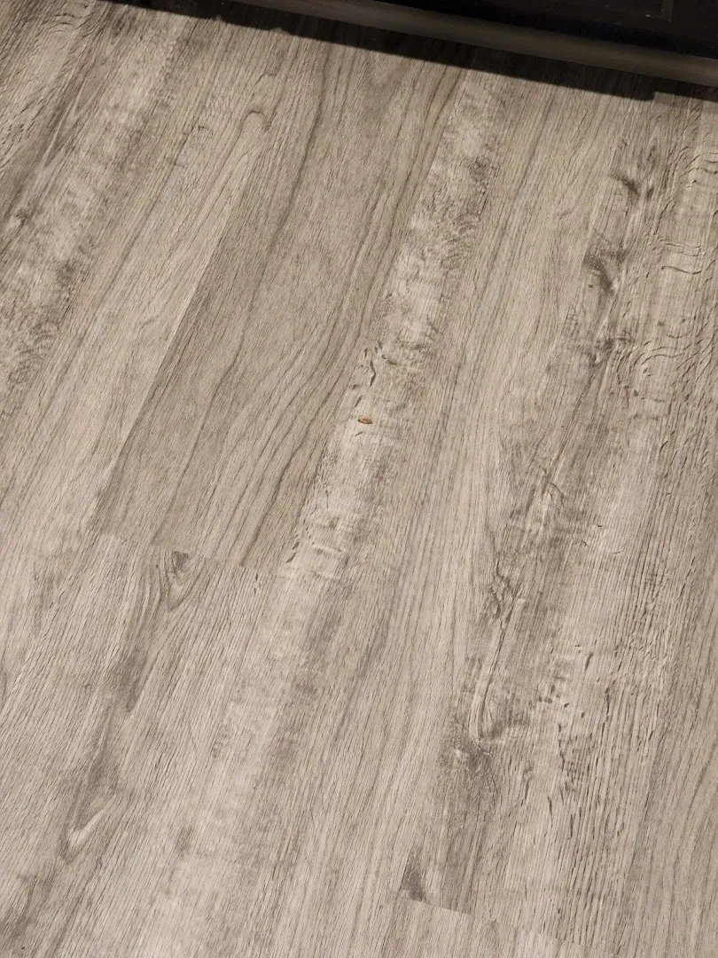 Reliant Pest Management in Houston, TX — business photo 4