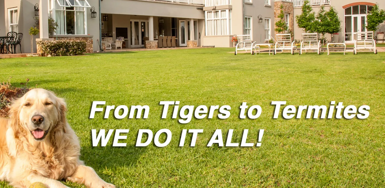 Results Environmental Pest Management — pest control in Sherman, GRAYSON County, TX