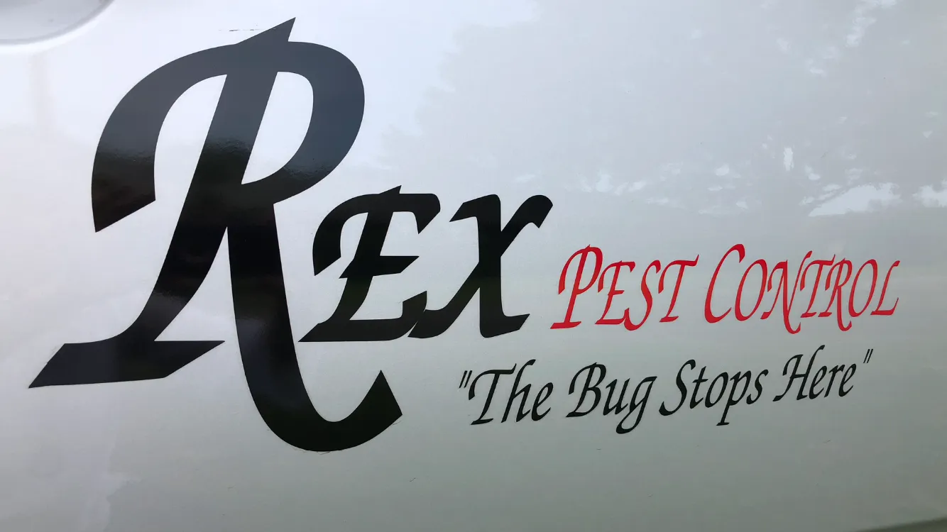 REX Pest Control in San Angelo, TX — business photo 3
