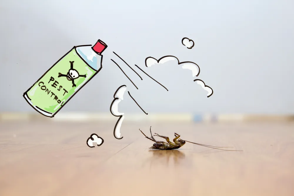 REX Pest Control in San Angelo, TX — business photo 4