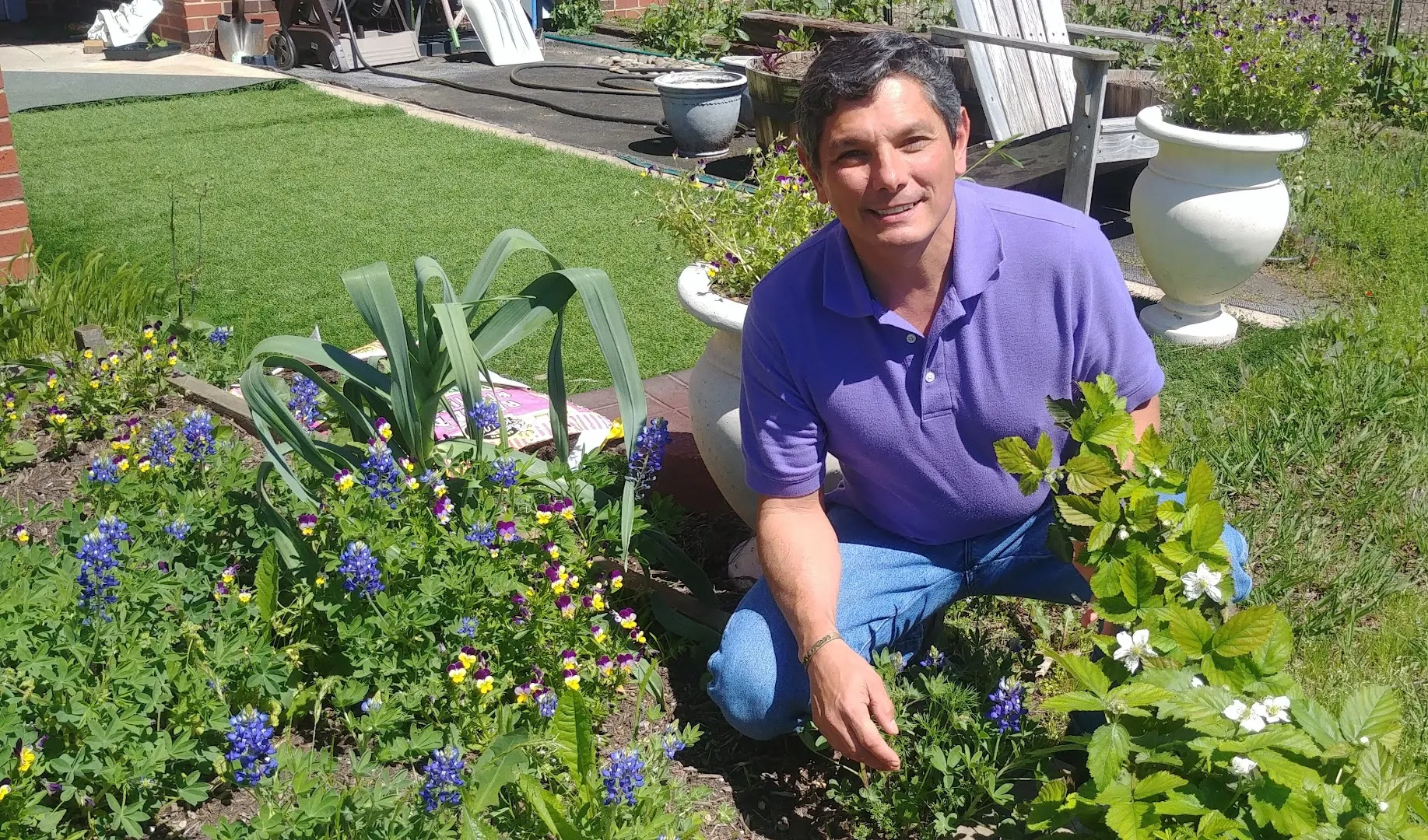 Reyna's Enviro Solutions Pest Control — pest control in Dallas, DALLAS County, TX