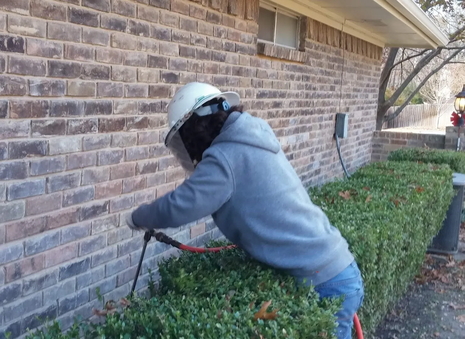 Reyna's Enviro Solutions Pest Control in Dallas, TX — business photo 4