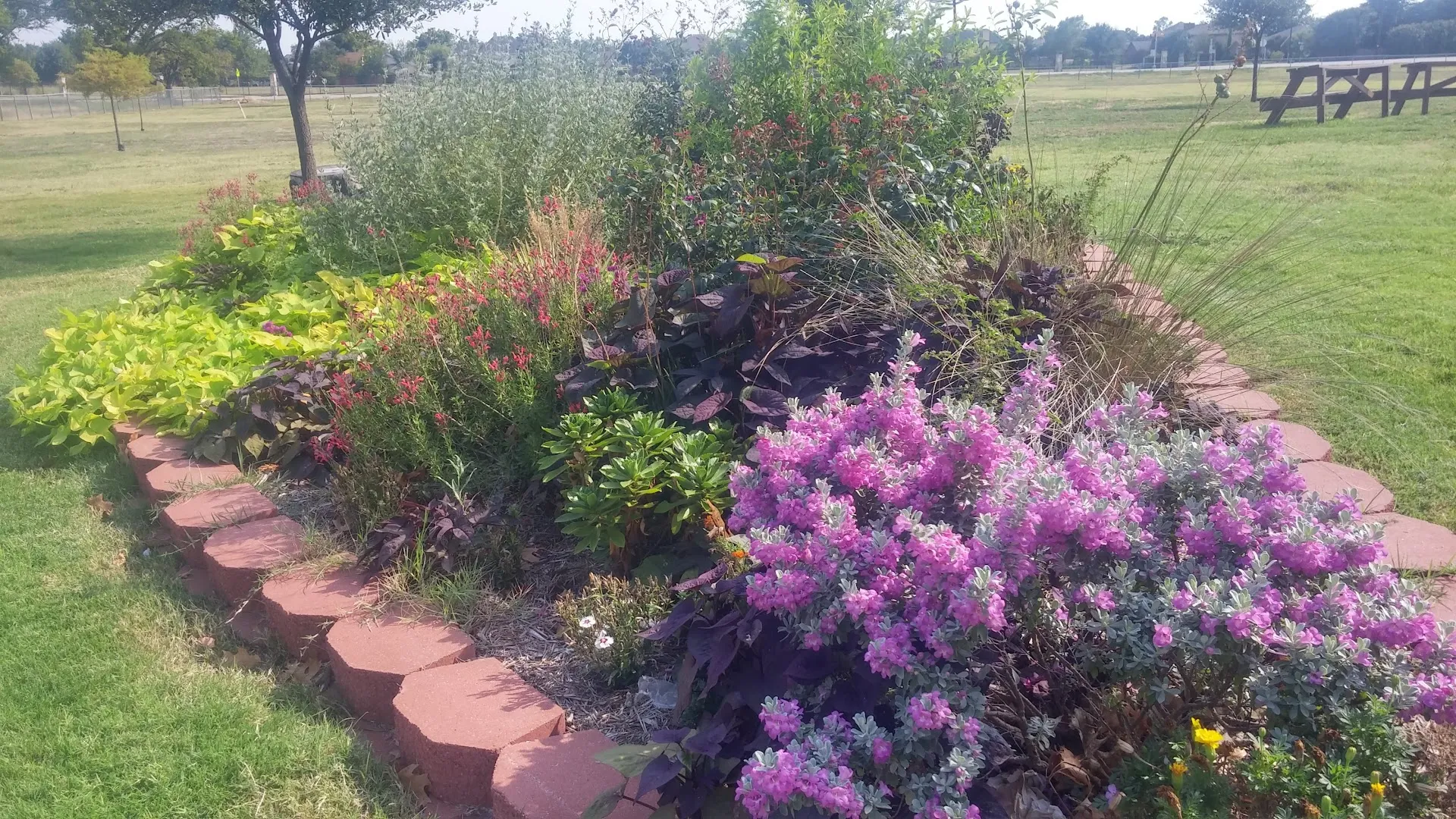 Reyna's Enviro Solutions Pest Control in Dallas, TX — business photo 5