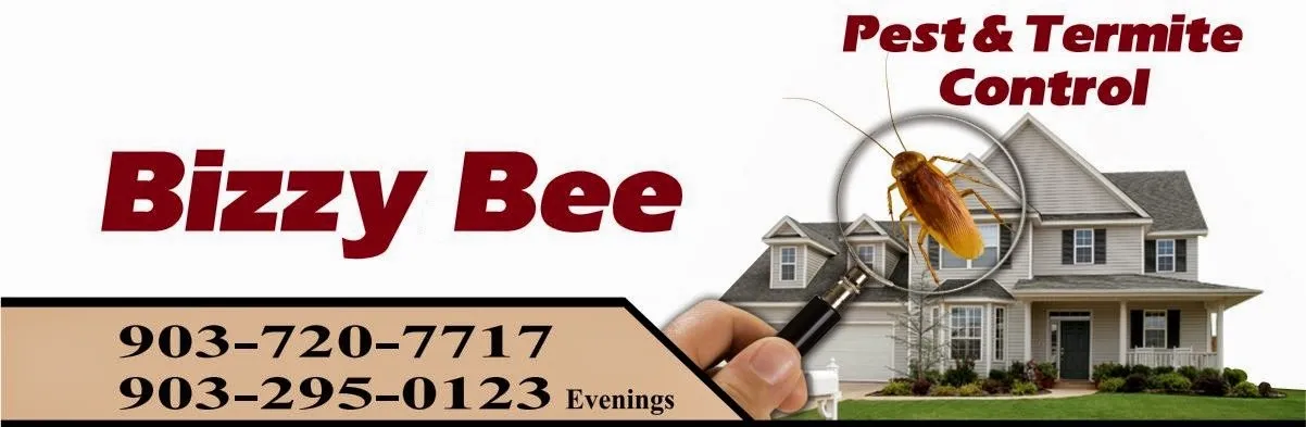 Bizzy Bee Pest Solutions in Gilmer, TX — business photo 2