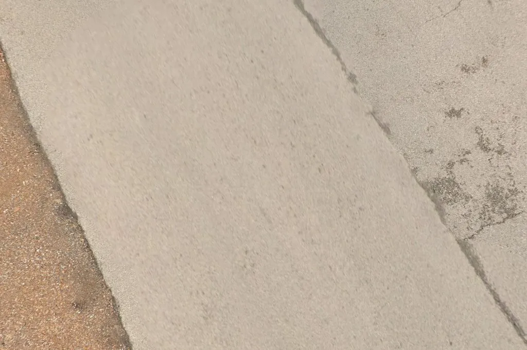 Bizzy Bee Pest Solutions in Gilmer, TX — business photo 3