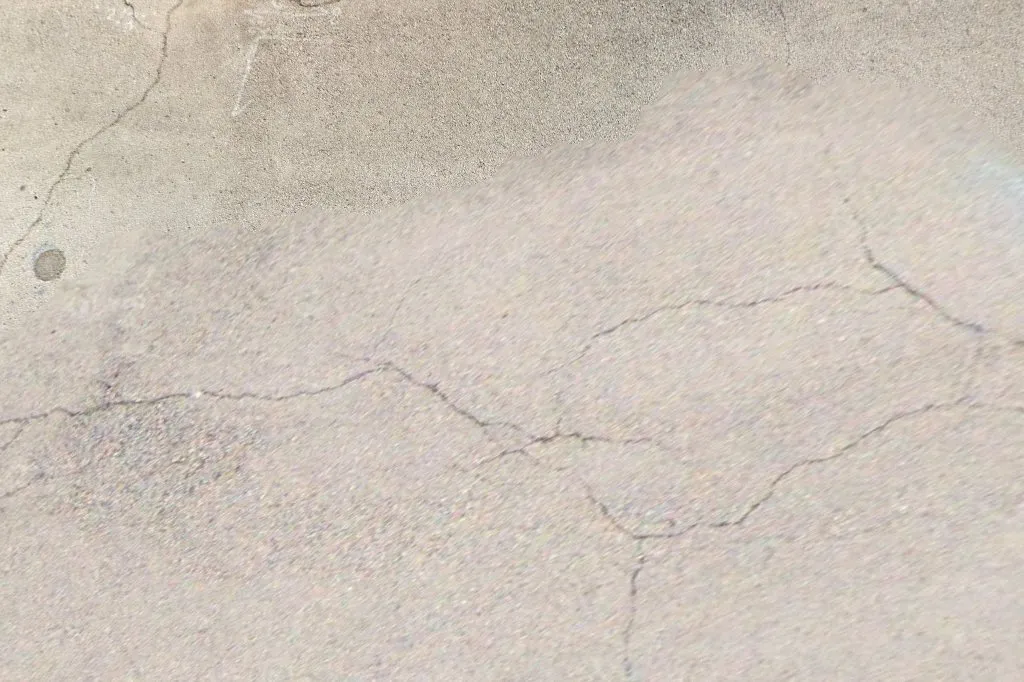 Roach Wranglers Inc Pest Control in Fort Worth, TX — business photo 3