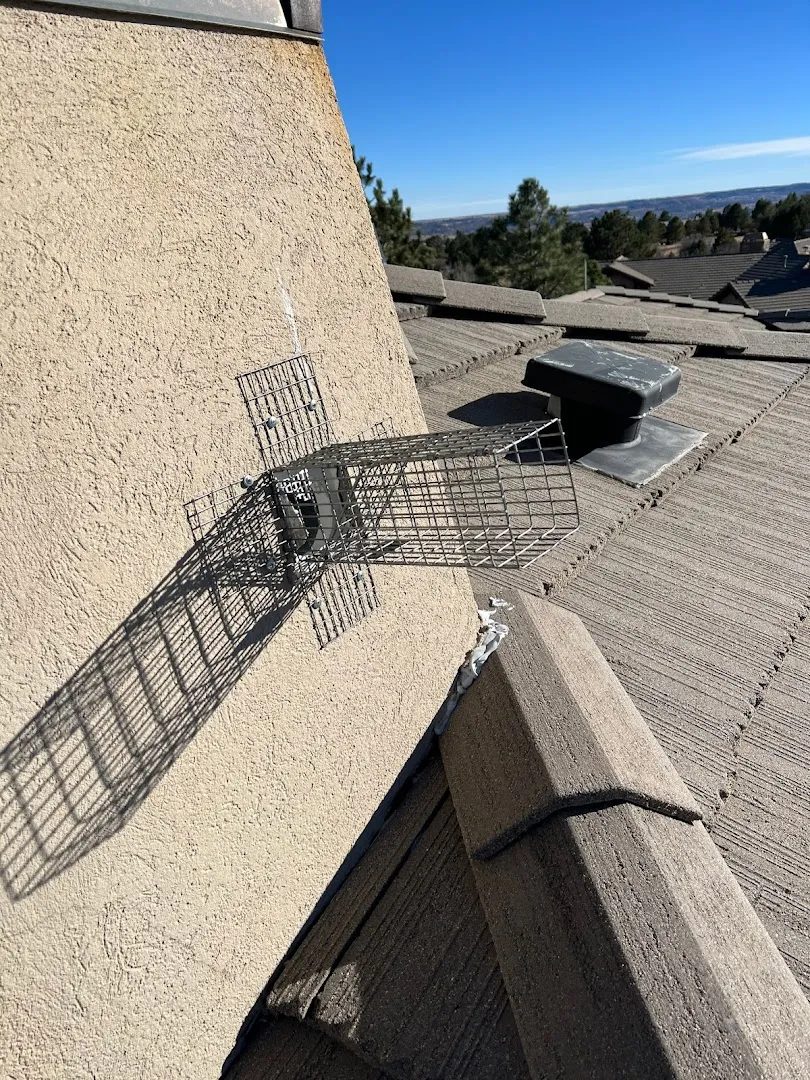 Rocky Mountain Pest and Wildlife in El Paso, TX — business photo 3