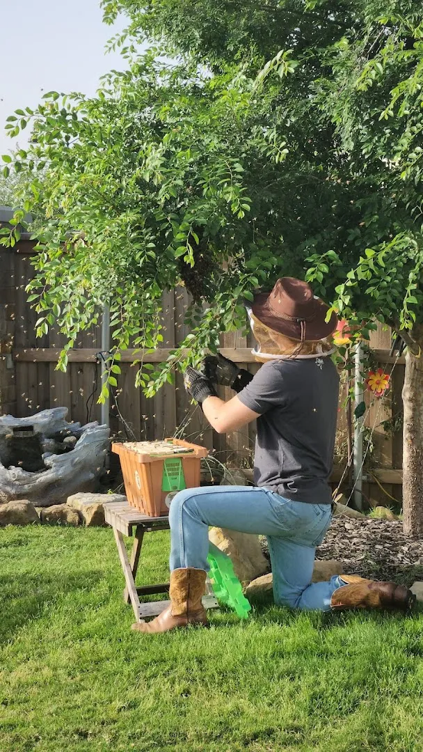 Bee Swarm Rodeo in McKinney, TX — business photo 4