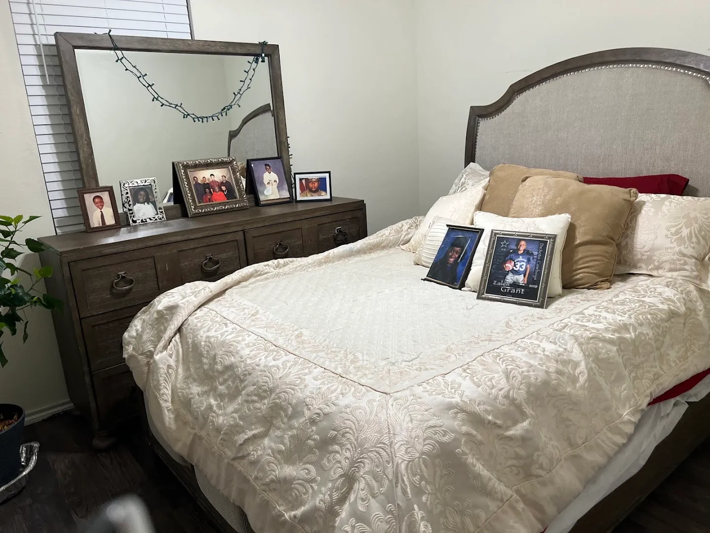 S&B PEST CONTROL INC. in Dallas, TX — business photo 3