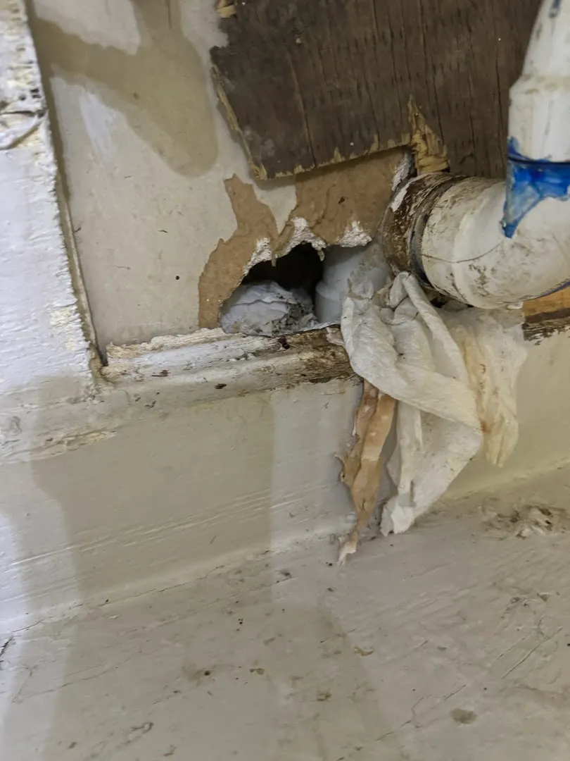 Extreme Xterminating Pest Control in Houston, TX — business photo 4
