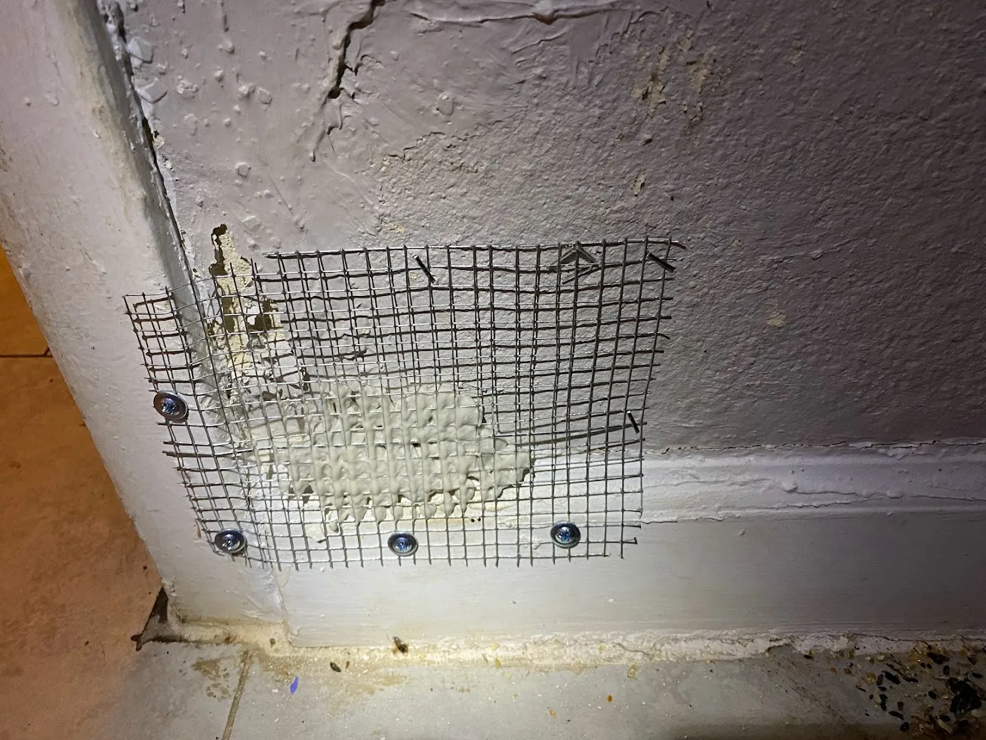 Extreme Xterminating Pest Control in Houston, TX — business photo 6